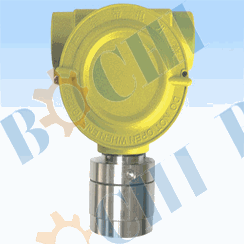 Marine gas detector