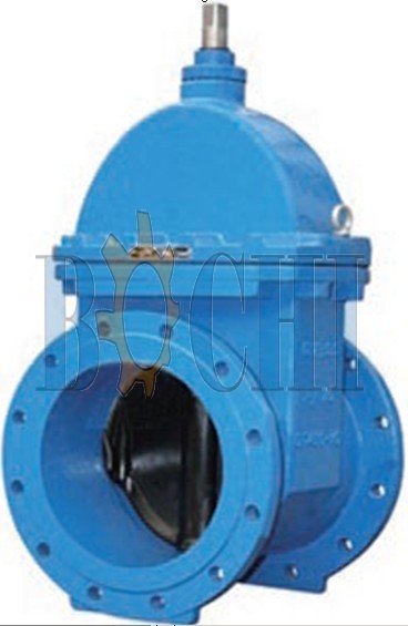 Rubber Seated Gate Valve