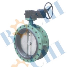 Worm Flanged Butterfly Valve