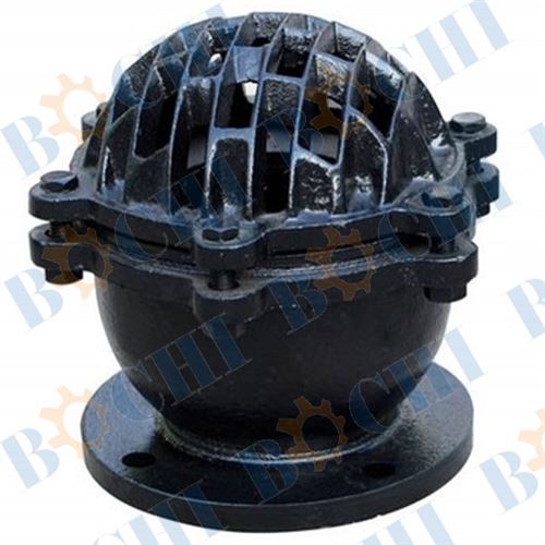 Cast Iron Foot Valve With Strainer