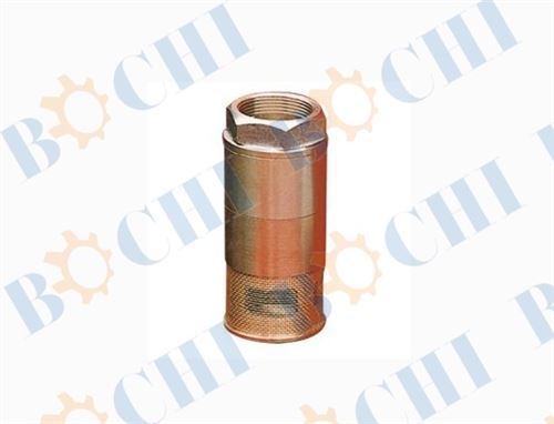Double Brass Foot Valve for Water Pump