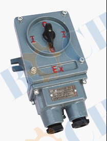 BKH51 Series Explosion-proof Combination Switch((IIB、IIC、DIPA20）