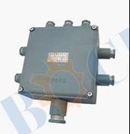 BXJ53 Series Explosion-proof Junction Box ((e、DIPA20)