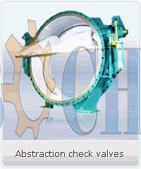 Abstraction Check Valves