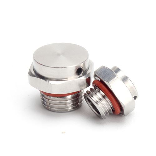 Stainless steel waterproof air vent valve 001